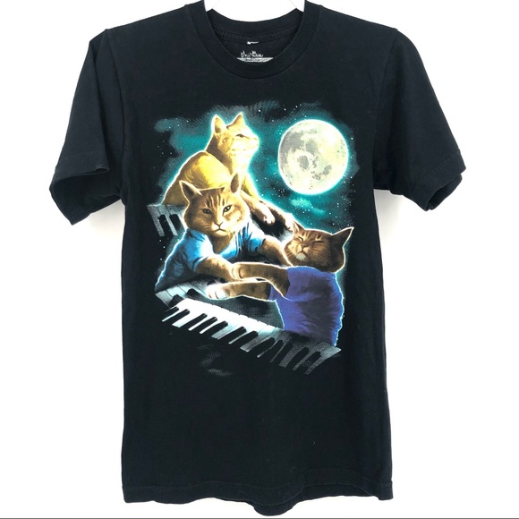 three keyboard cat moon